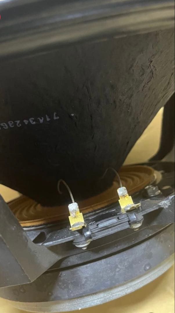 Electro Voice DL15W 新品ギャザードエッジ仕様1ペア