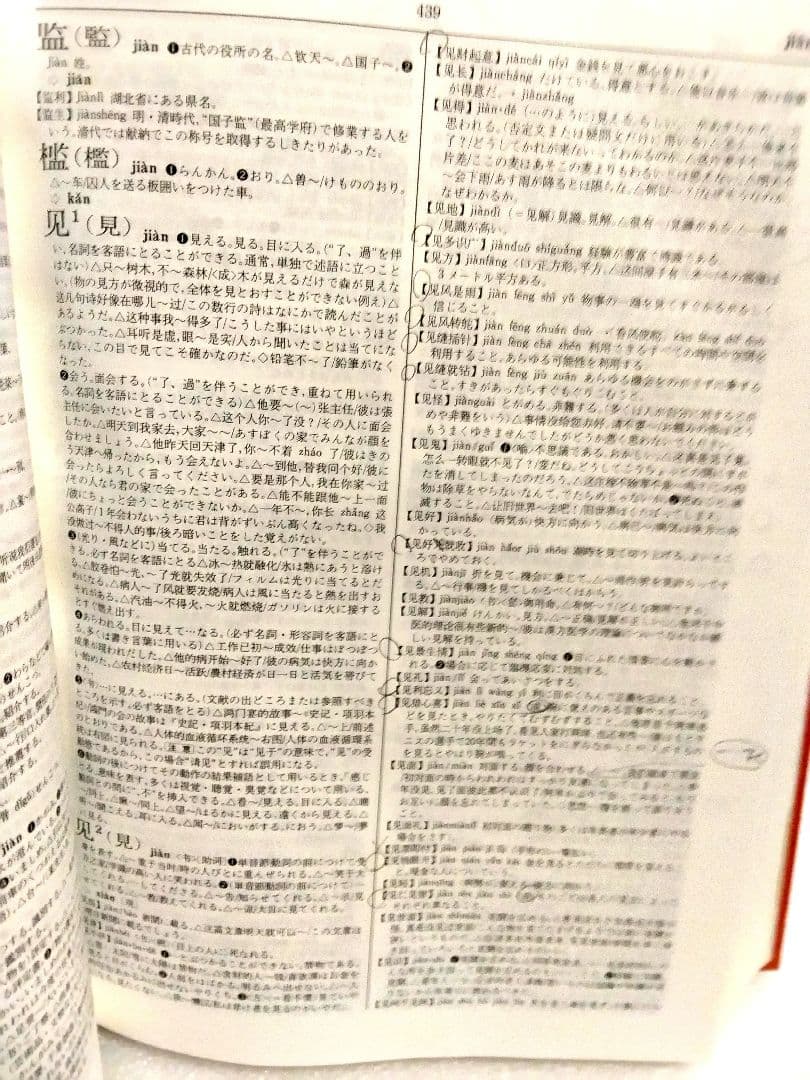 新汉日词典，新漢日詞典