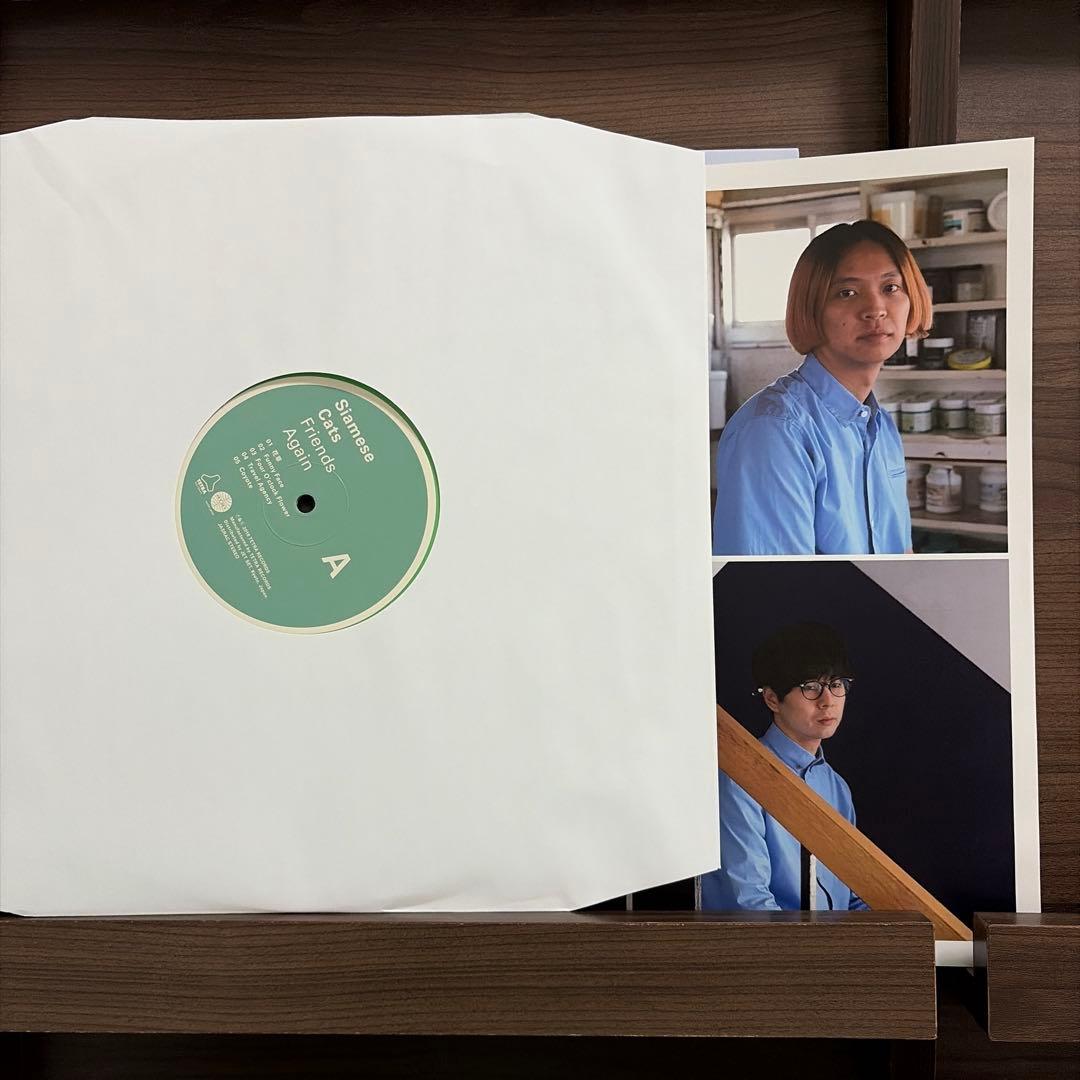 シャムキャッツ Friends Again レコード