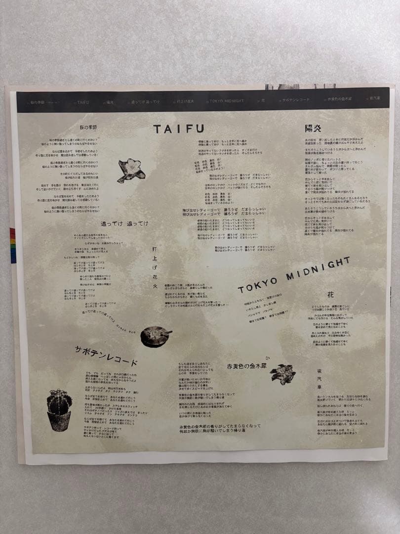 フジファブリック レコード