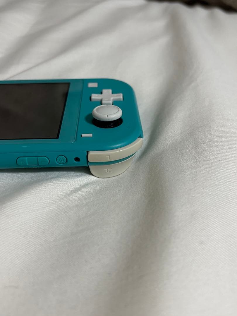 Nintendo Switch Lite ライトグリーン