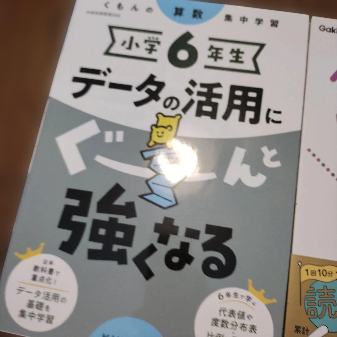 小学6年生 データの活用にぐーんと強くなる、小6国語をひとつひとつわかりやすく