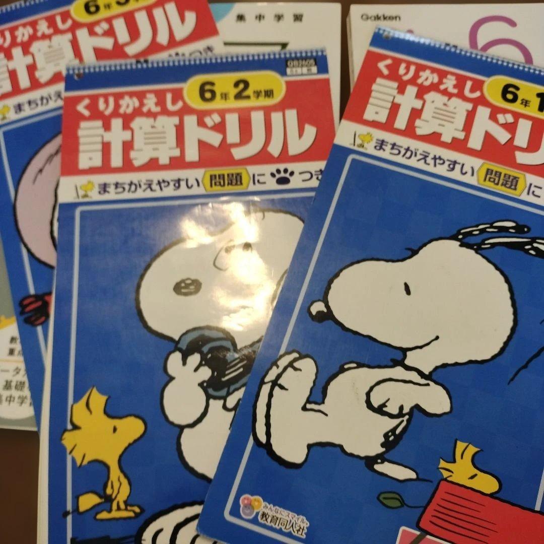 小学6年生 データの活用にぐーんと強くなる、小6国語をひとつひとつわかりやすく