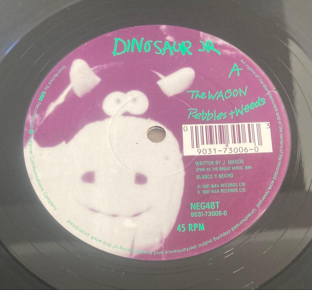 ◾️最高音質轟音45回転12インチEP◾️DINOSAUR JR. / ダイナソーJ