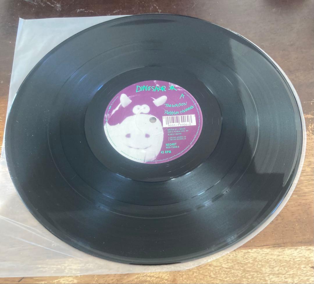 ◾️最高音質轟音45回転12インチEP◾️DINOSAUR JR. / ダイナソーJ