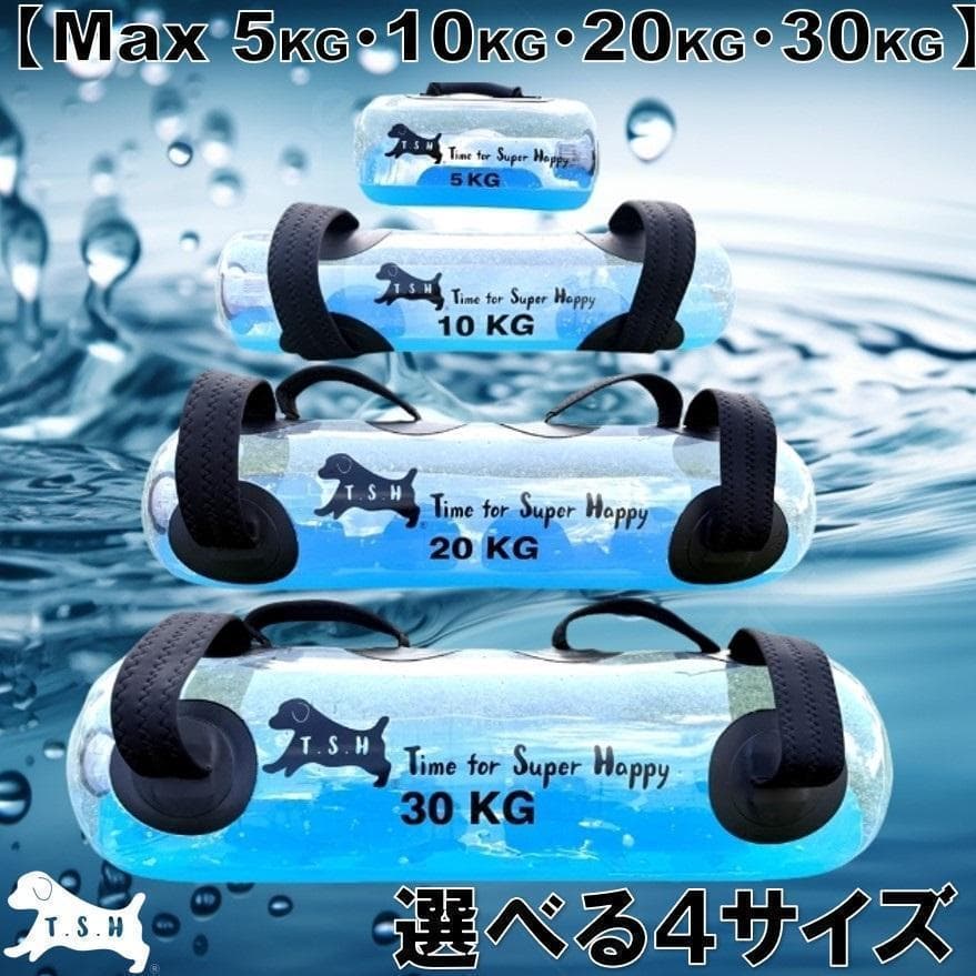 【たーちゃん様３点】　１０ｋｇ　ウォータートレーニングバッグ　専用フットポンプ付