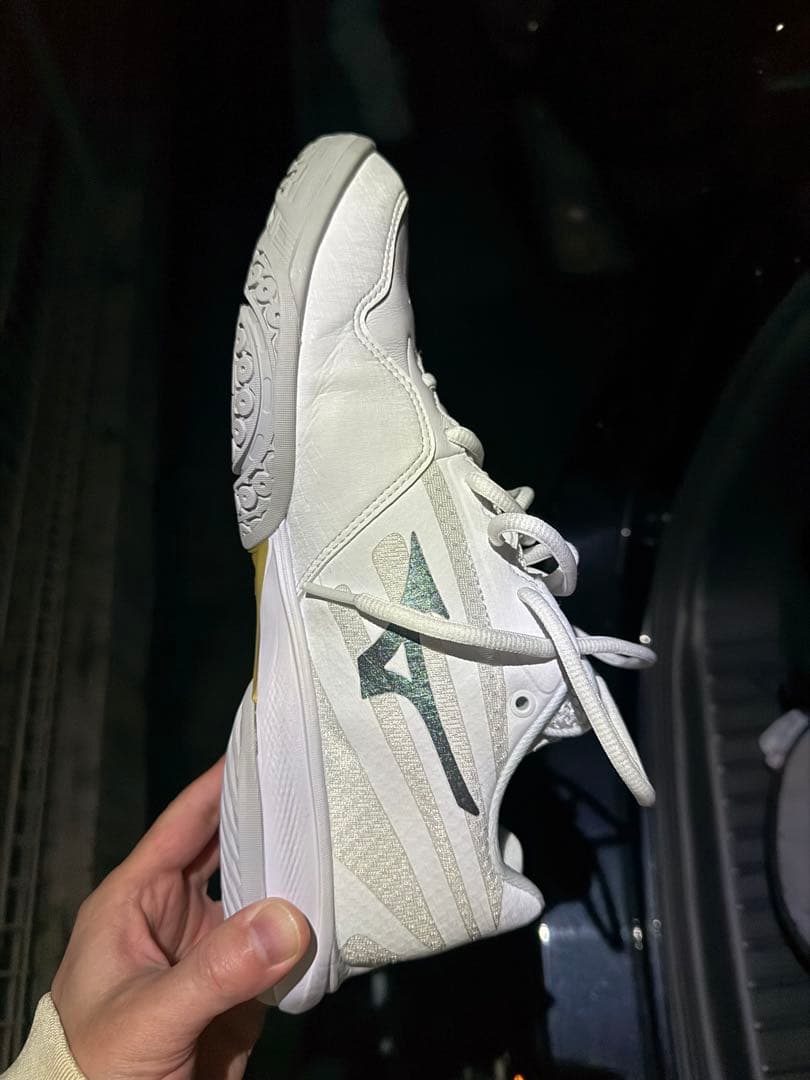 Mizuno ウェーブクロー3プロ　26.5cm バドミントンシューズ