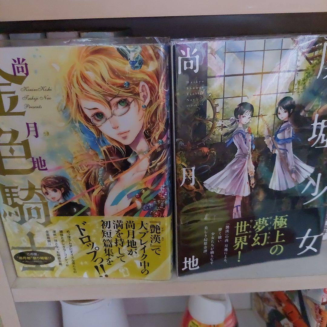 艶漢(アデカン)1～20巻　 金色騎士　廃墟少女　尚月地