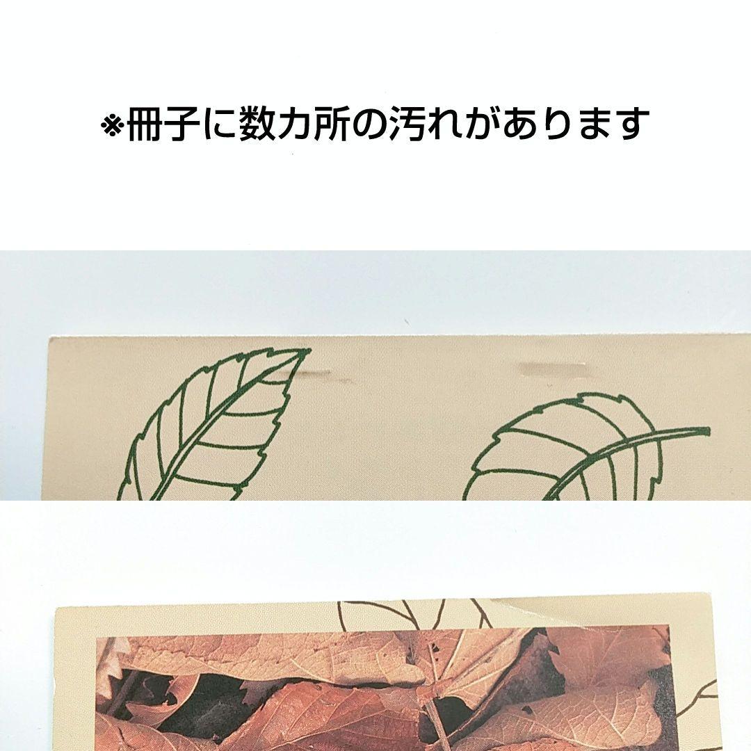 【 やまね工房 グッズセット】　型録　カタログ　ポストカード　ハンカチ　タオル