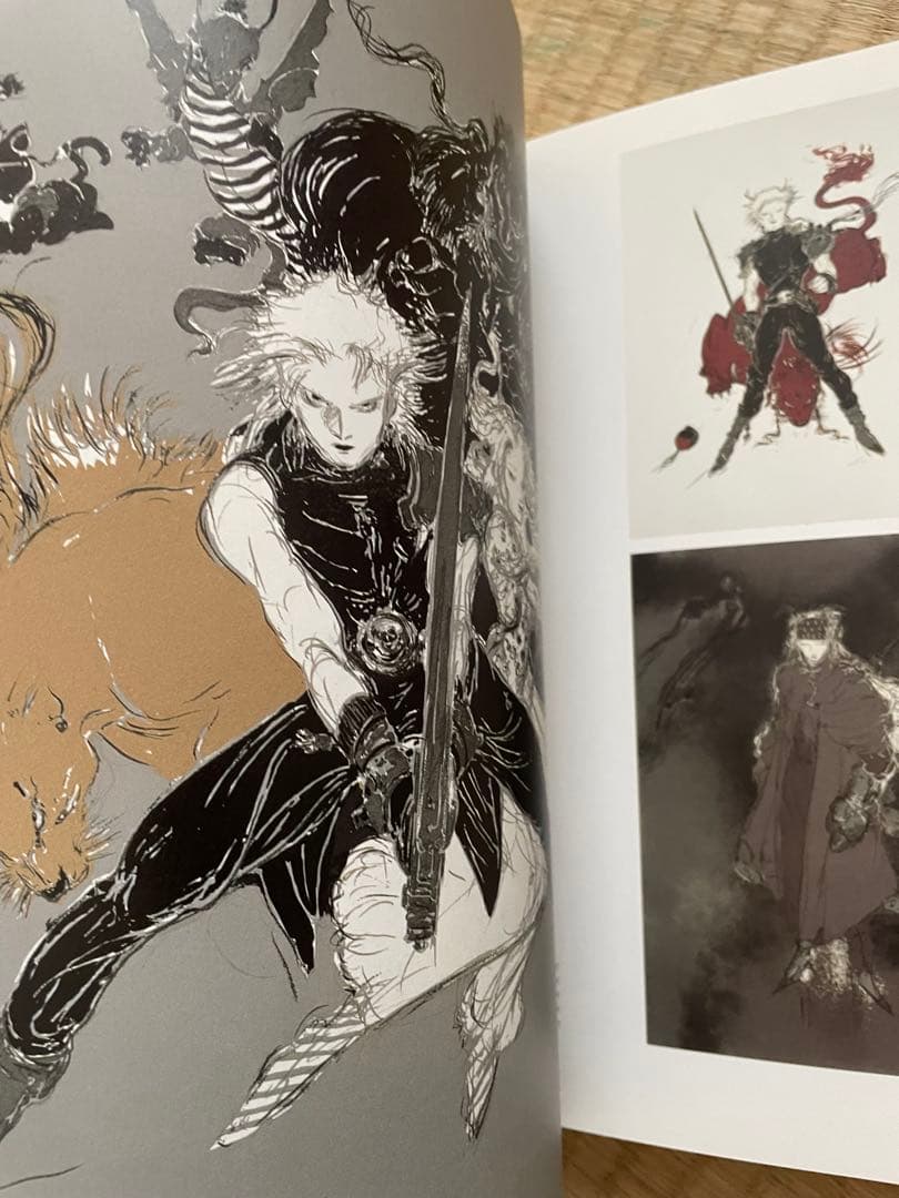 【美品】AMANO THE COMPLETE PRINTS 1901-2001