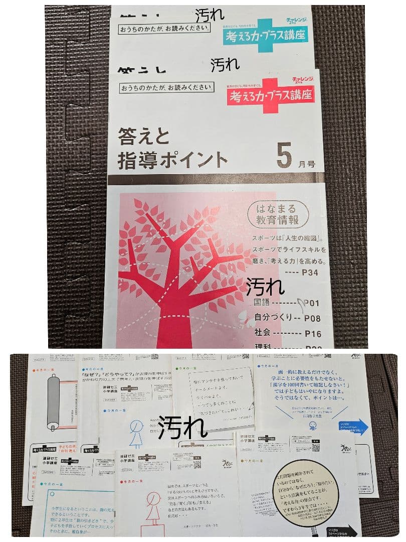 進研ゼミ 考える力プラス 小学講座 オプション 2年生 にゃっち 小2 小学生