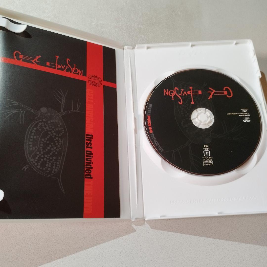 Grantz マンウィズ前身バンド出演DVD　顔出し　希少　レア　素顔　グランツ