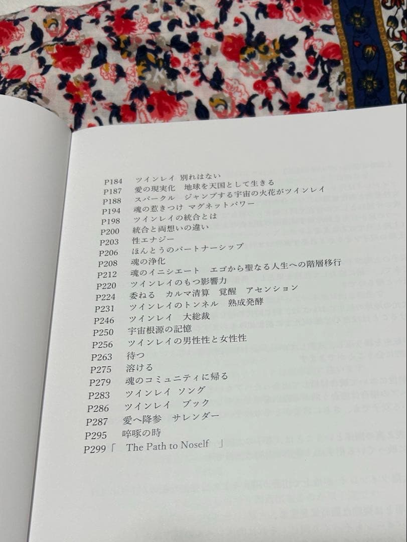 Larmes éternelles ツインレイ