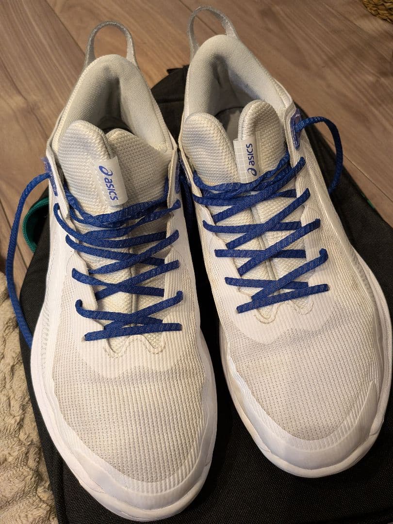 シューズ(男性用) GLIDE NOVA FF4 asics