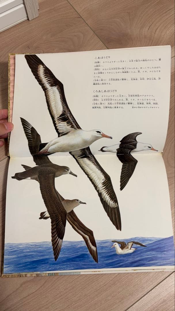 薮内正幸　野鳥の図鑑　日本の野鳥セット　全6冊　ハードカバー版