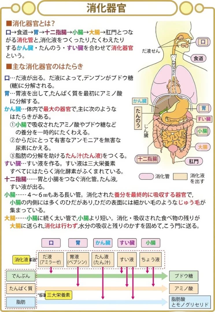 ゆう商品