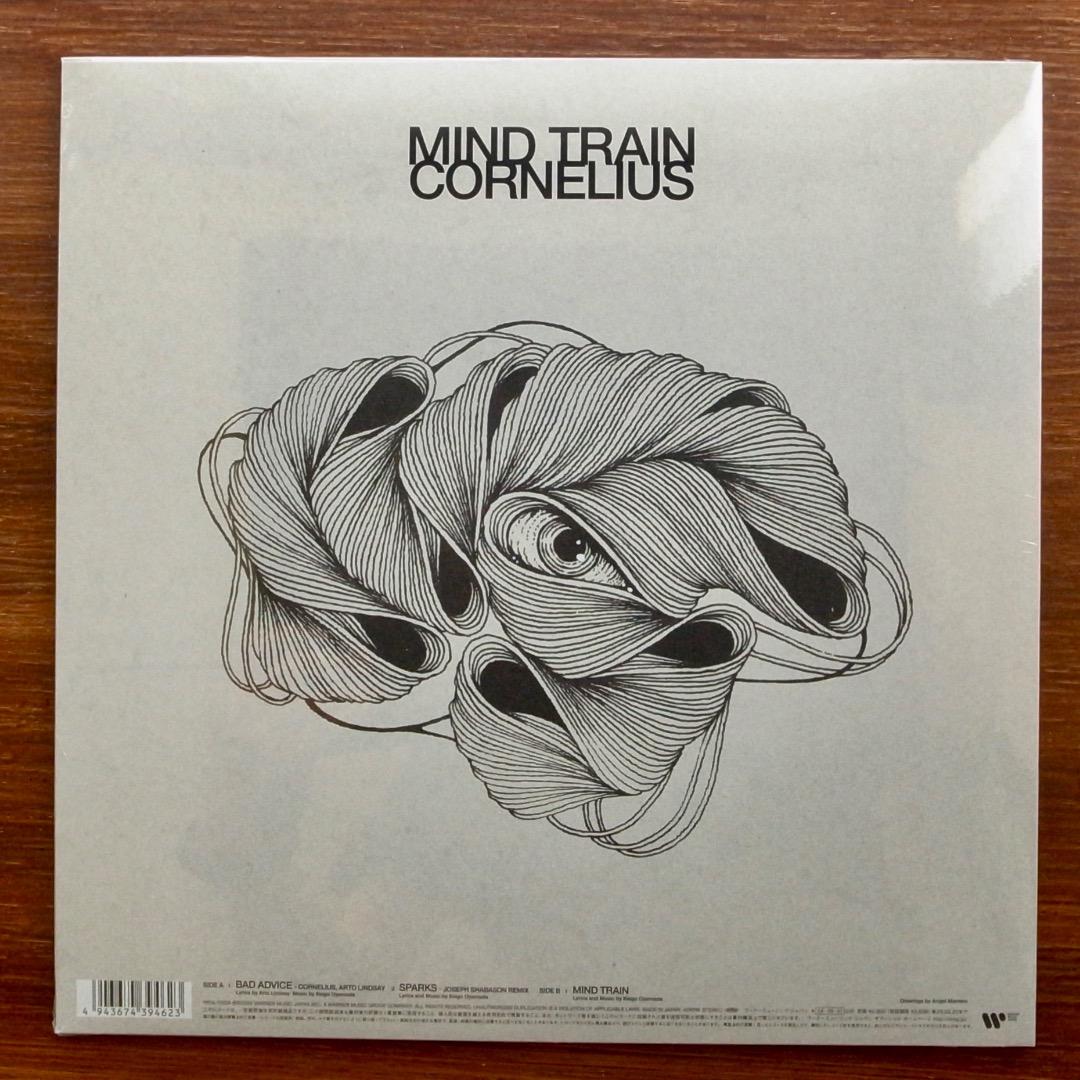 BAD ADVICE / Cornelius コーネリアス　　12インチレコード