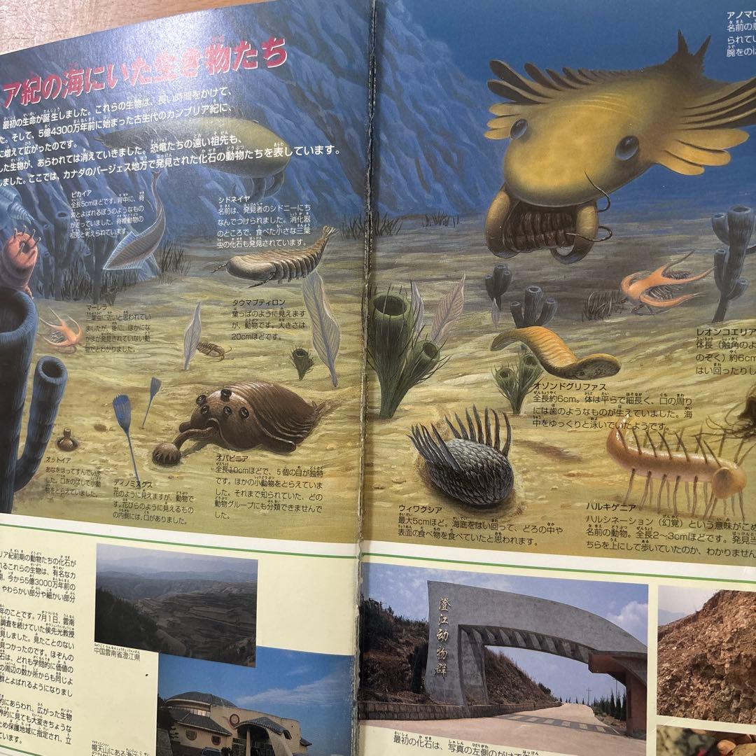 小学館・学研・move図鑑 8冊セットDVD付き