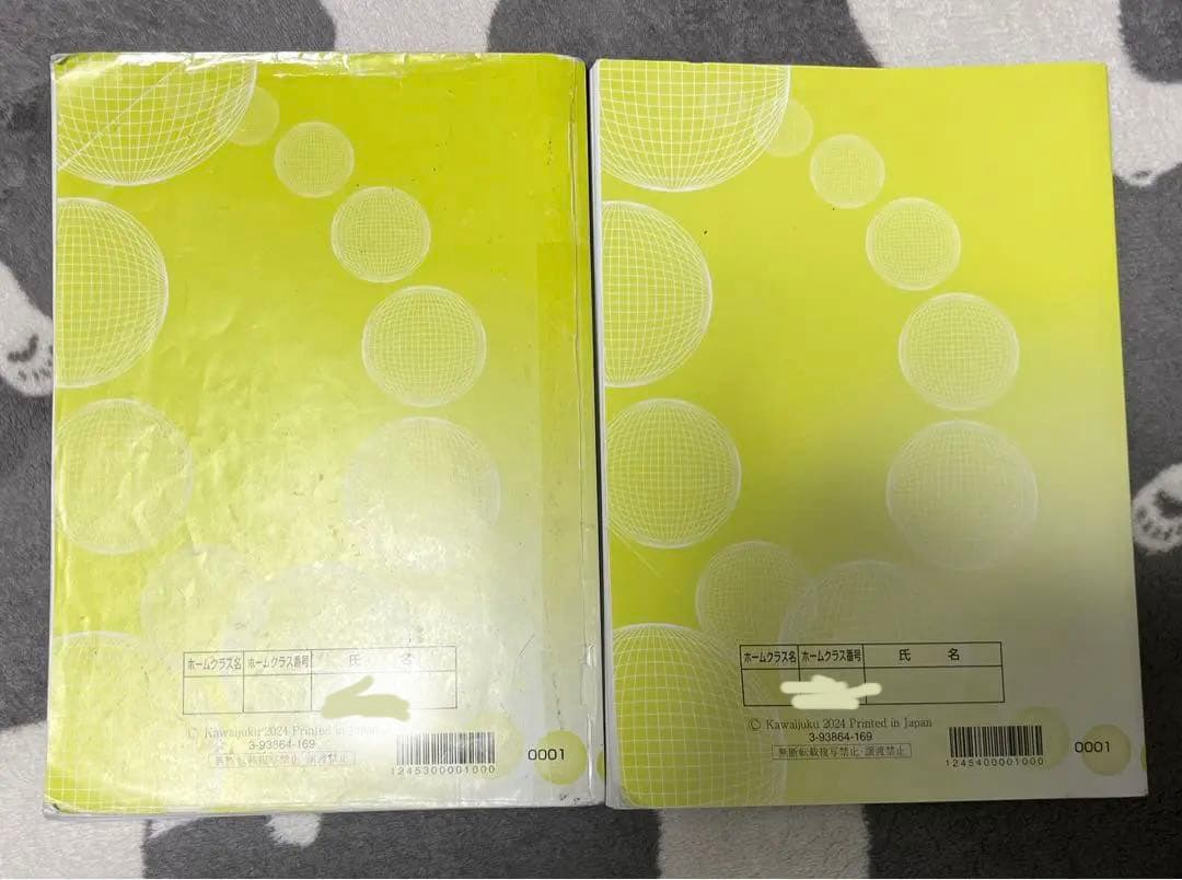 登木健司　河合塾 2024 基礎・完成シリーズ 解釈T