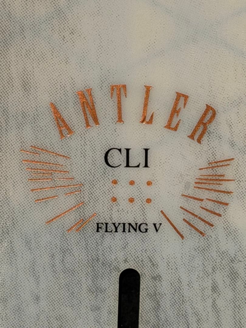 【BURTON】ANTLER アントラー Flying V 151.5cm