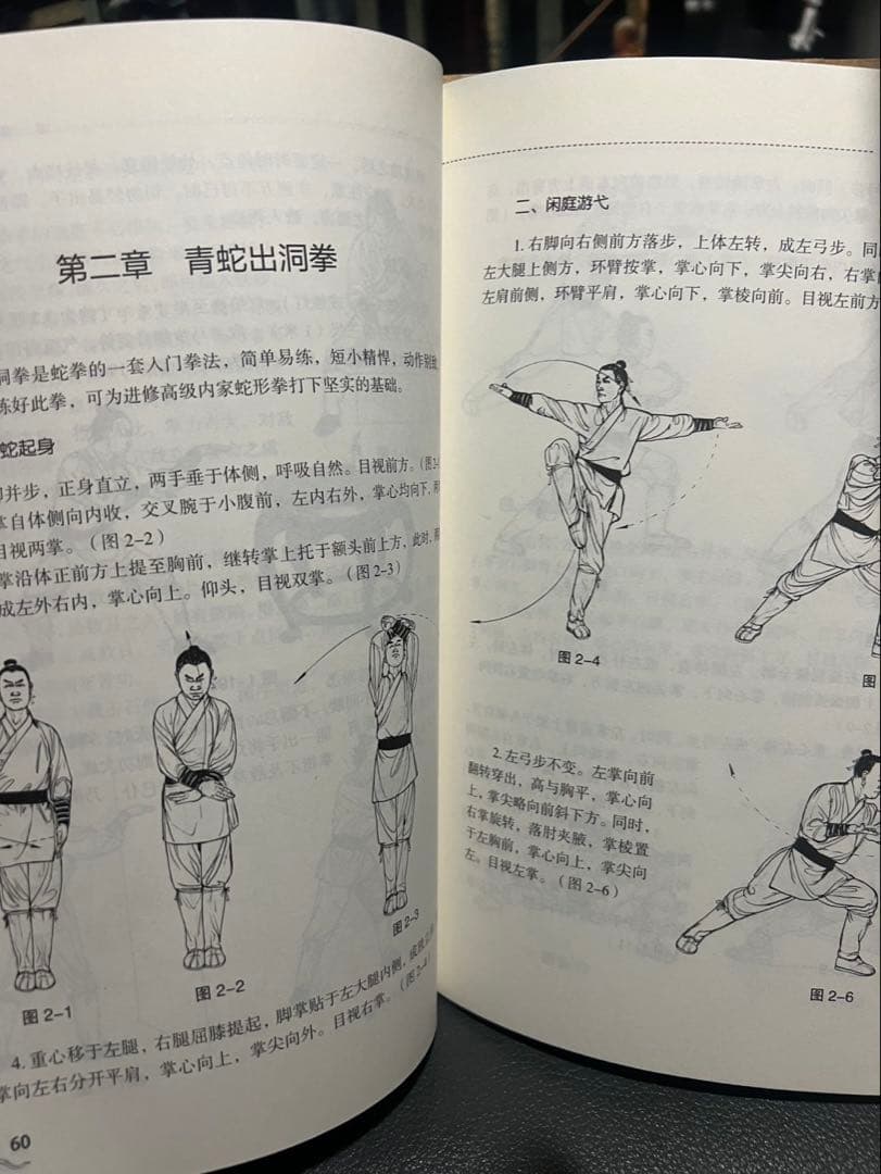 中国武術 カンフー少林寺 蛇拳 教本激レア！