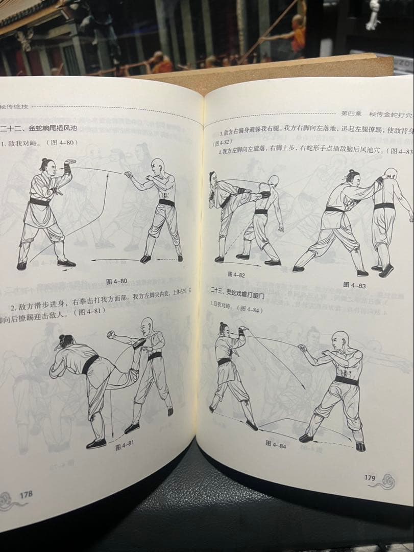 中国武術 カンフー少林寺 蛇拳 教本激レア！