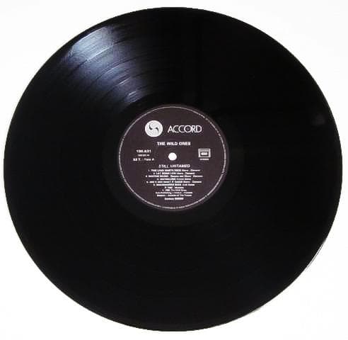 廃盤 LP レコード Wild Ones ベルギー ネオロカビリー