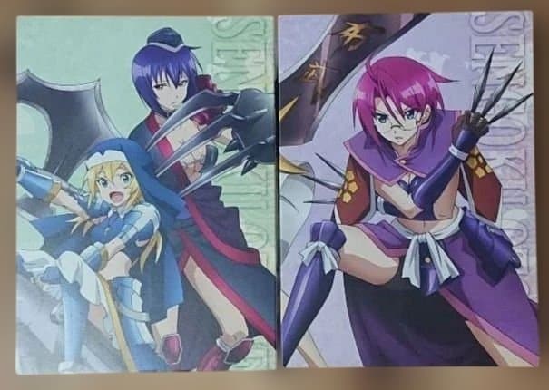 入手困難‼️【廃盤・美品】戦国乙女～桃色パラドックス～DVD 全7巻セット