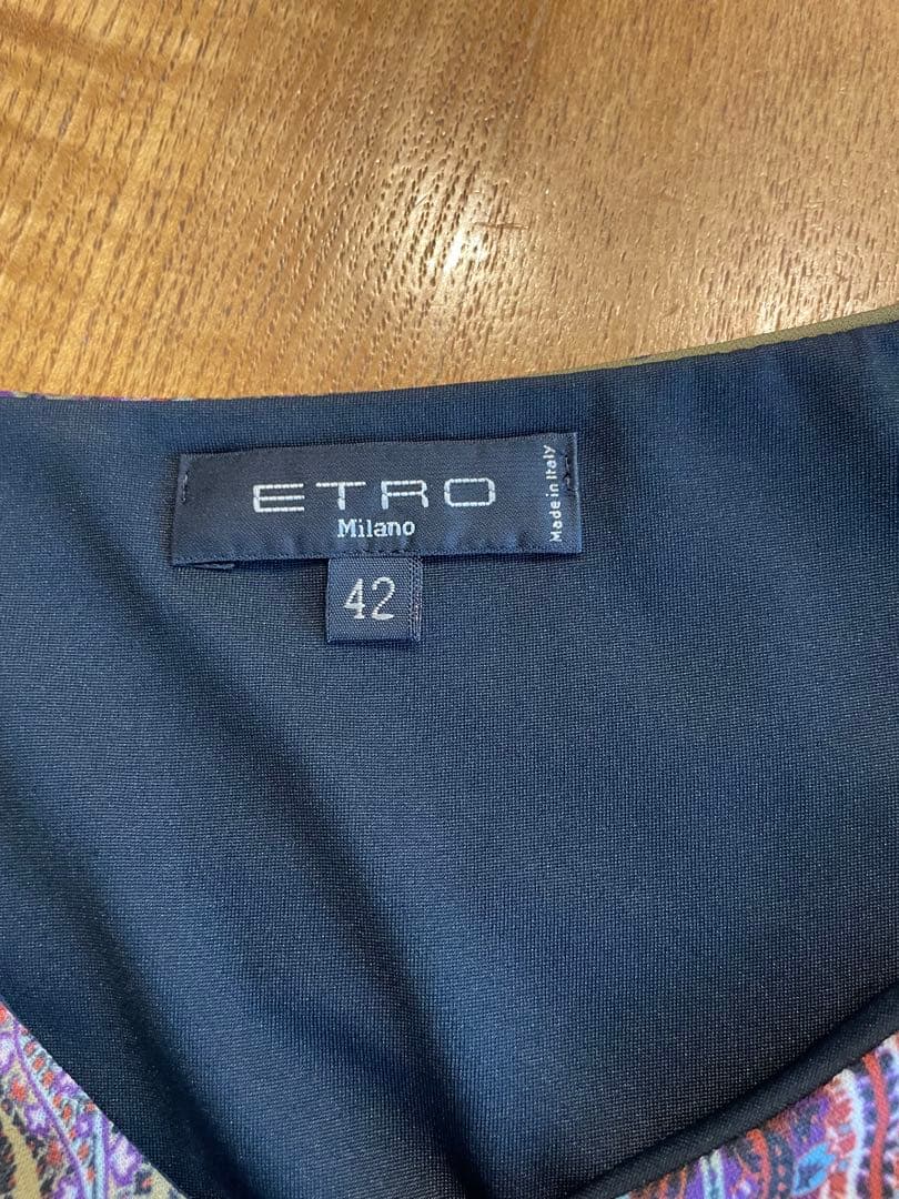 ETROペイズリー柄長袖カットソーワンピース Mストレッチ　極美品