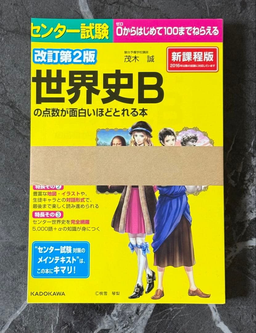 【裁断済】世界史探究　面白いほど　集中講義　山﨑圭一　新標準講義　茂木誠