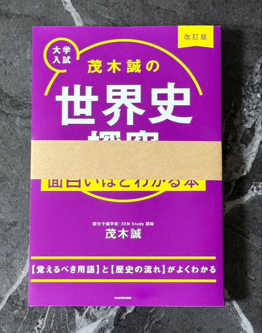 【裁断済】世界史探究　面白いほど　集中講義　山﨑圭一　新標準講義　茂木誠