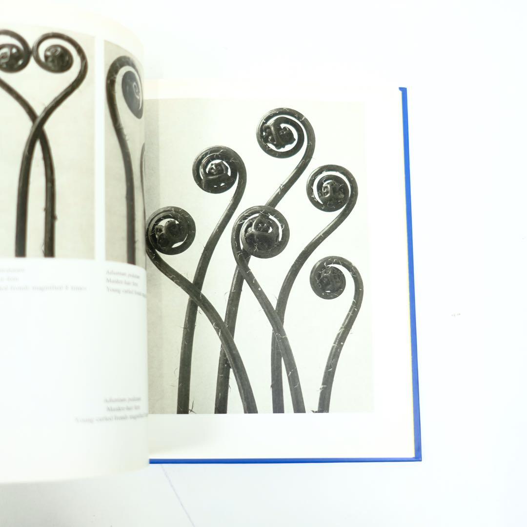 Karl Blossfeldt Taschen カール・ブロスフェルド　写真集