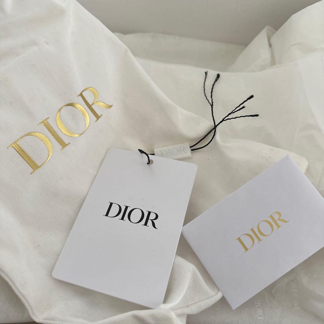 Christian Dior Dior Songe トゥシューズ 37