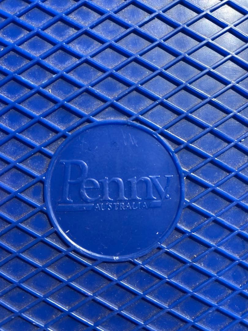 Penny スケートボード ペニー　ミニクルーザー　22インチ