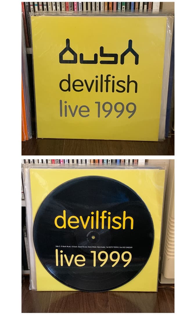 BUSH(UK) レコード13枚