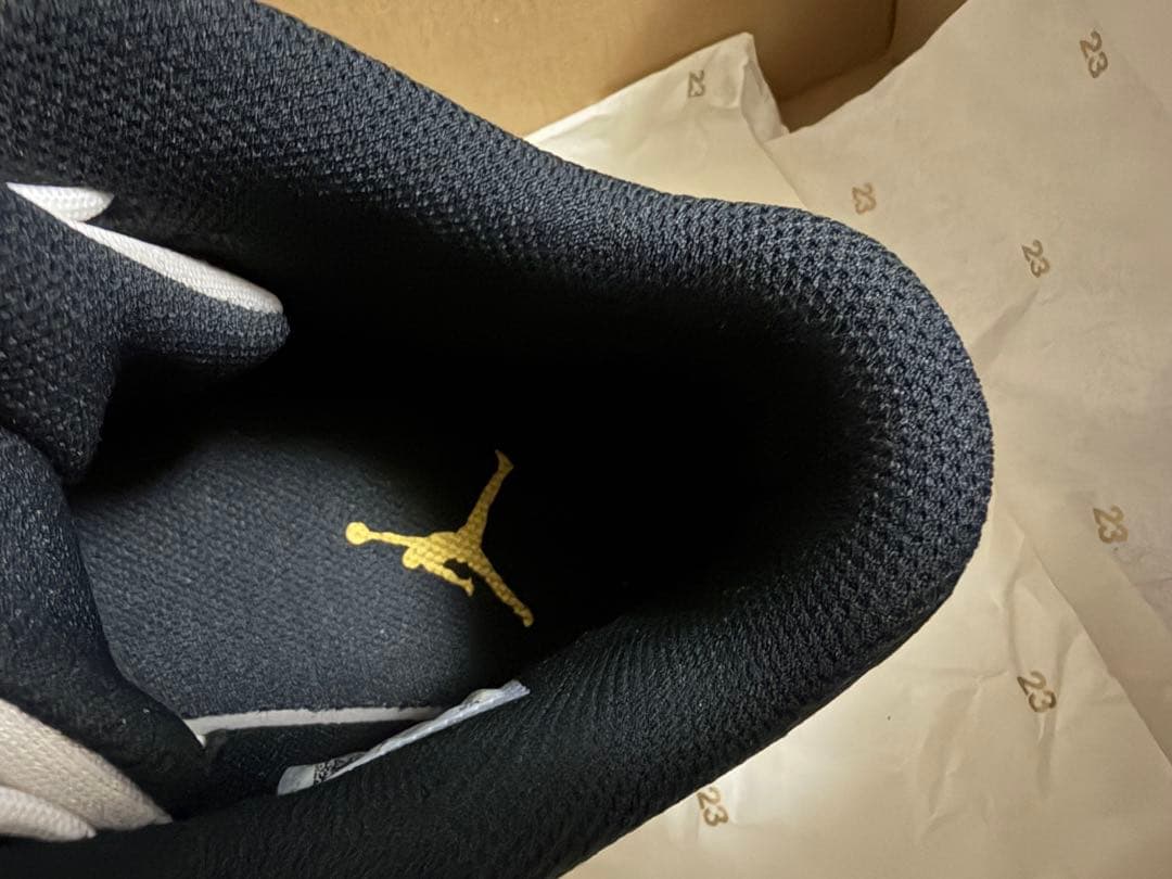 【2回使用美品】JORDAN MAX AURA 3 サイズ9 27cm