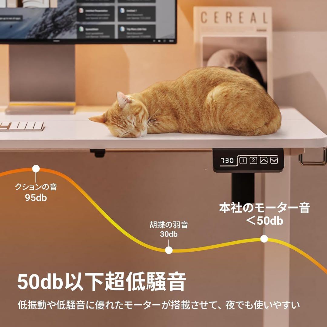 電動昇降デスク 幅100cm 高さ調整 静音 メモリー機能 パソコンデスク