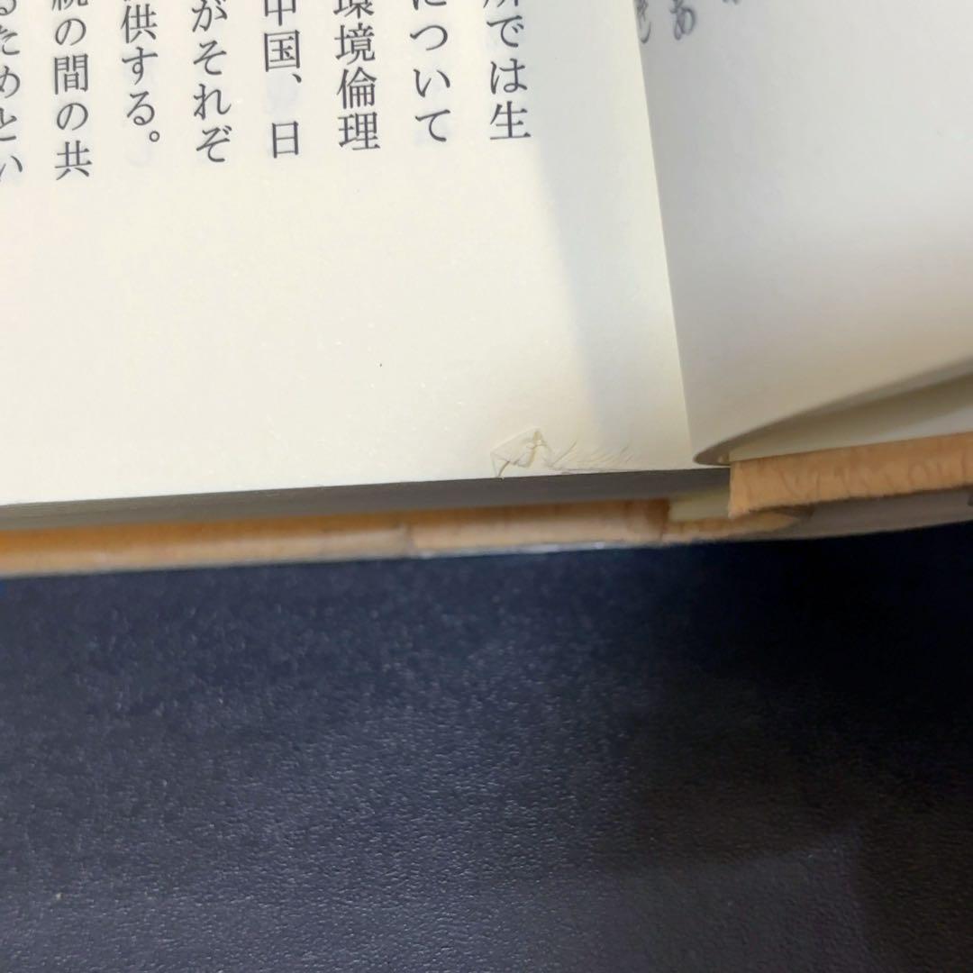 難あり 地球の洞察 : 多文化時代の環境哲学