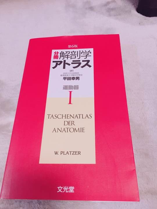 解剖学アトラス 第6版 I II Ⅲ 運動器・内臓・神経系と感覚器