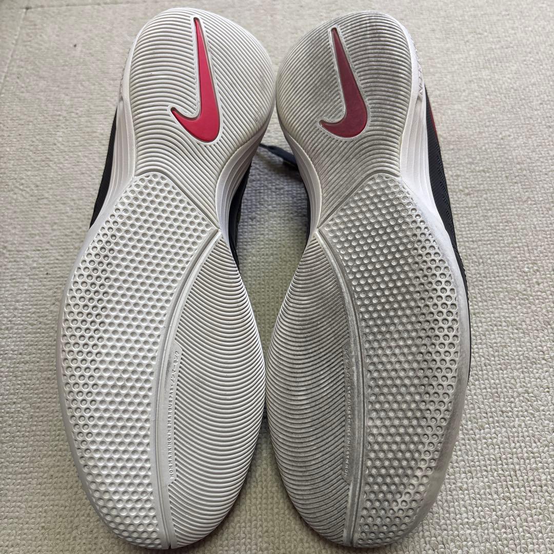 NIKE ルナガト2 IC