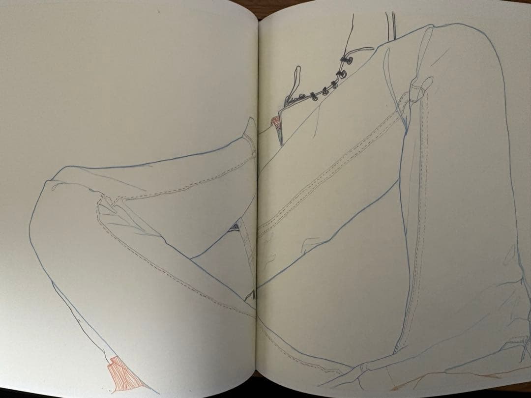 DRAWINGS LOU DOILLON アートブック