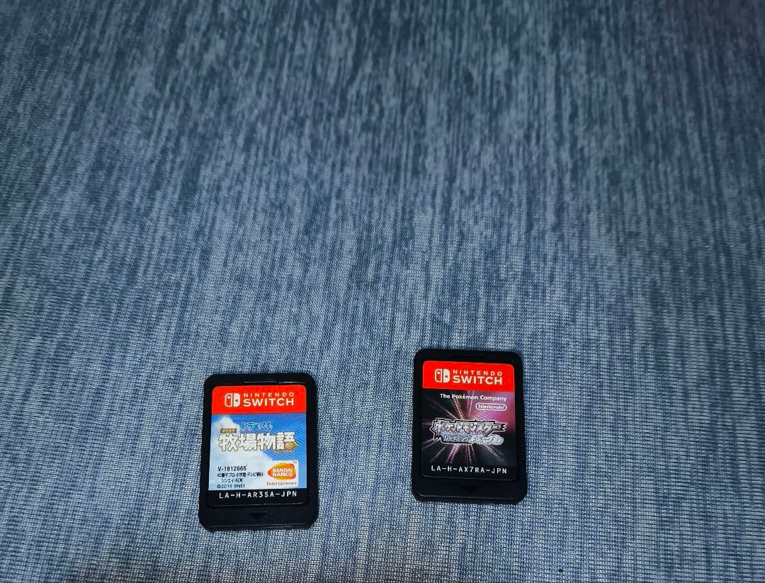 Nintendo Switch Lite 青 本体 充電器・ケース付き