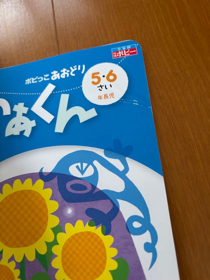 ポピー 5・6歳学習参考書16セット 未使用