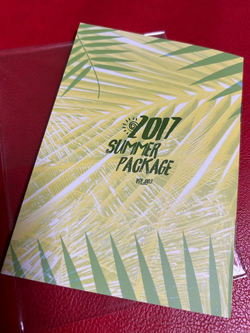 BTS  2017  summer package セルフィーブック　v  テテ