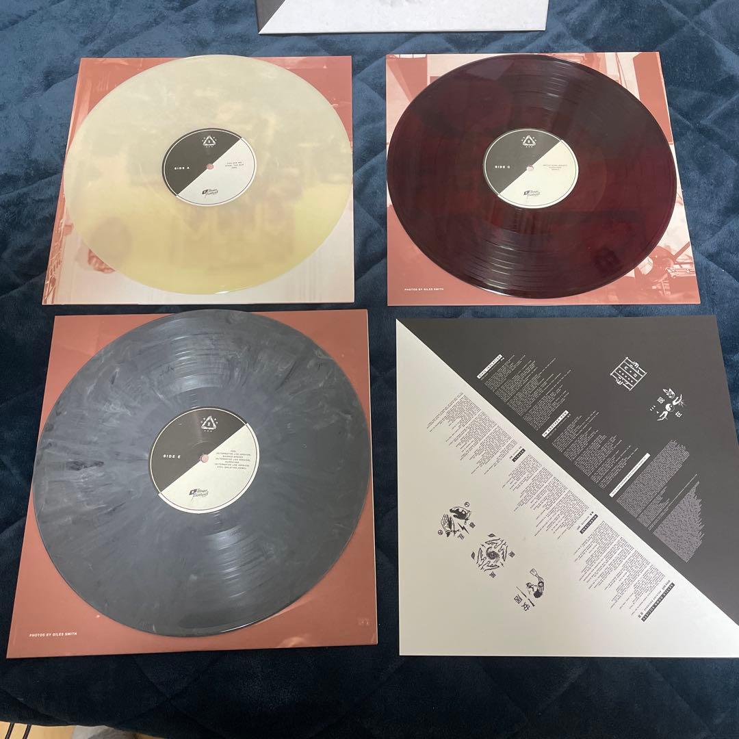 while she sleeps LPレコード 2種セット