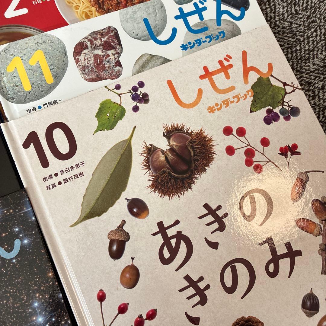 《未使用 美品》キンダーブックしぜん 12巻セット　2024年度