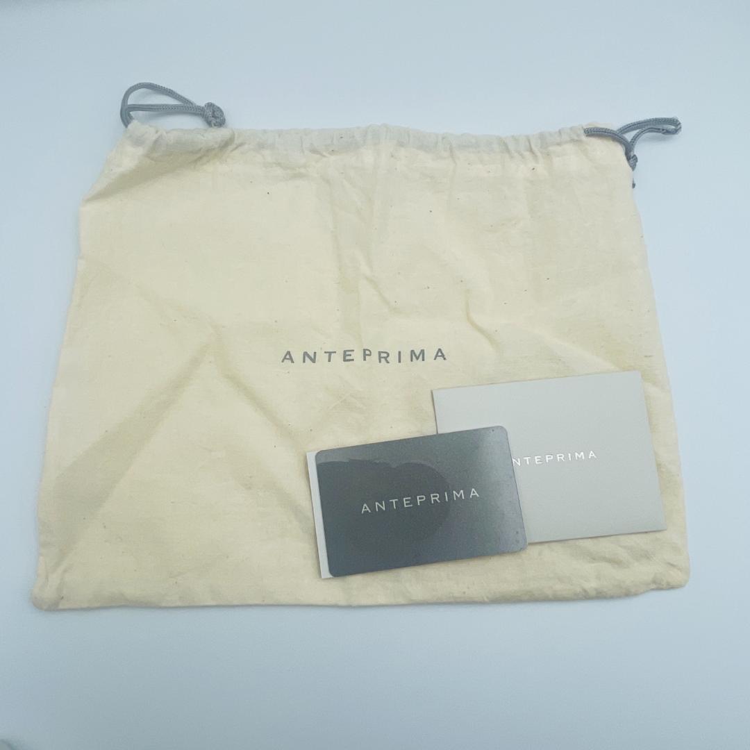 【美品】アンテプリマ ワイヤーバッグ ナストロ リボン 0113 K039