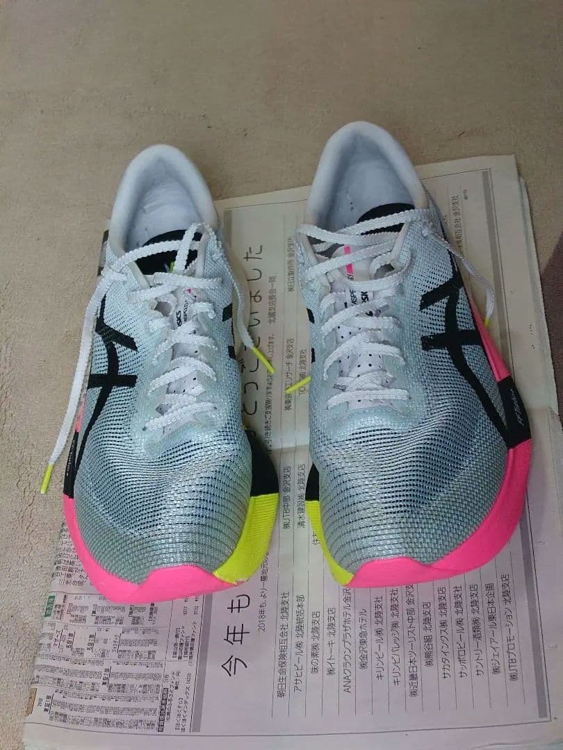 ASICS SPEED SKY PARIS 28cmメタスピードスカイ