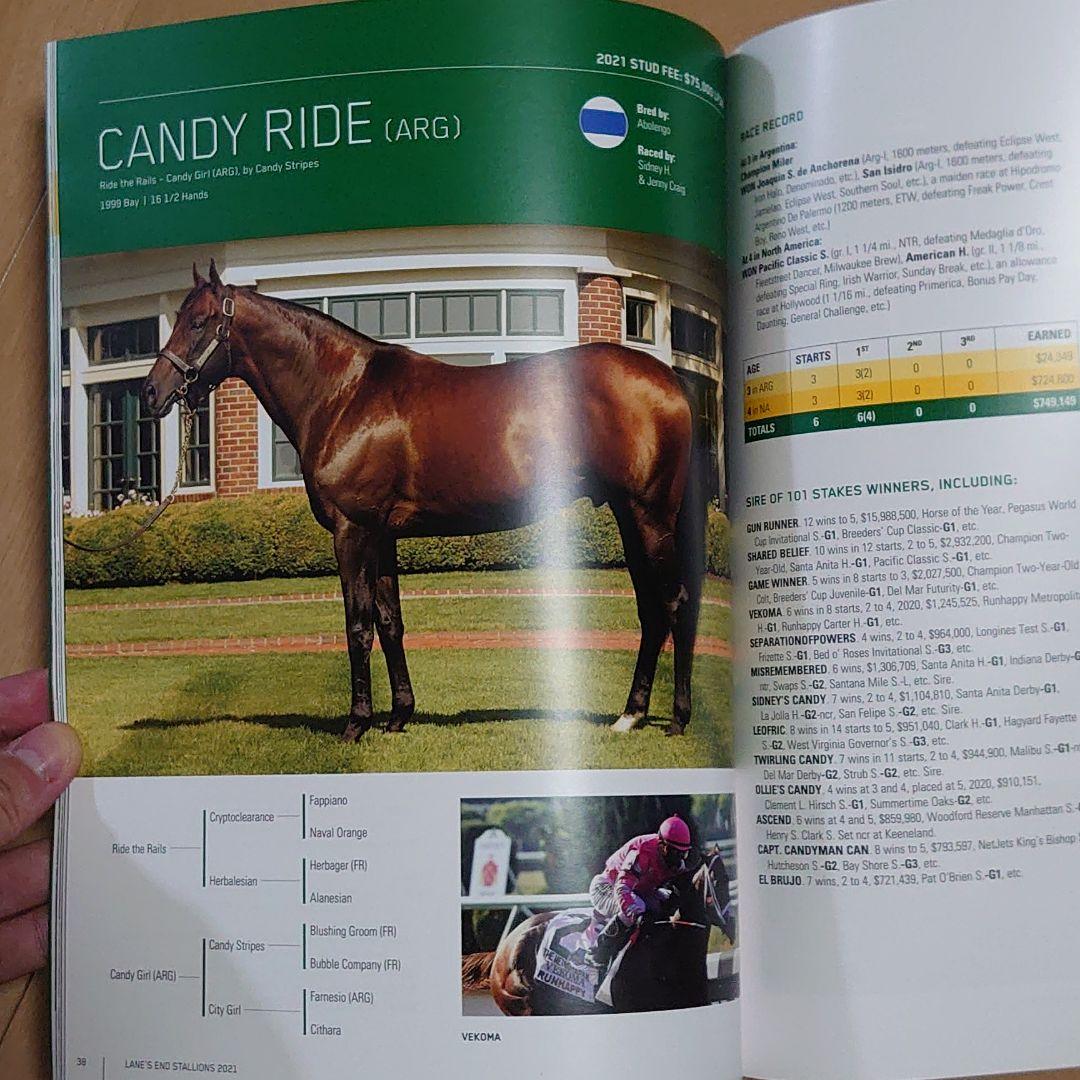 【北米競馬】レーンズエンドファーム 2021スタリオンブック
