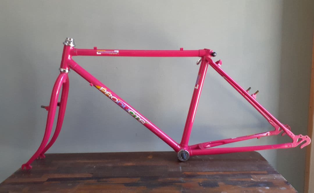 PRO TAKAI OLD MTB フレーム&フォーク 90年代